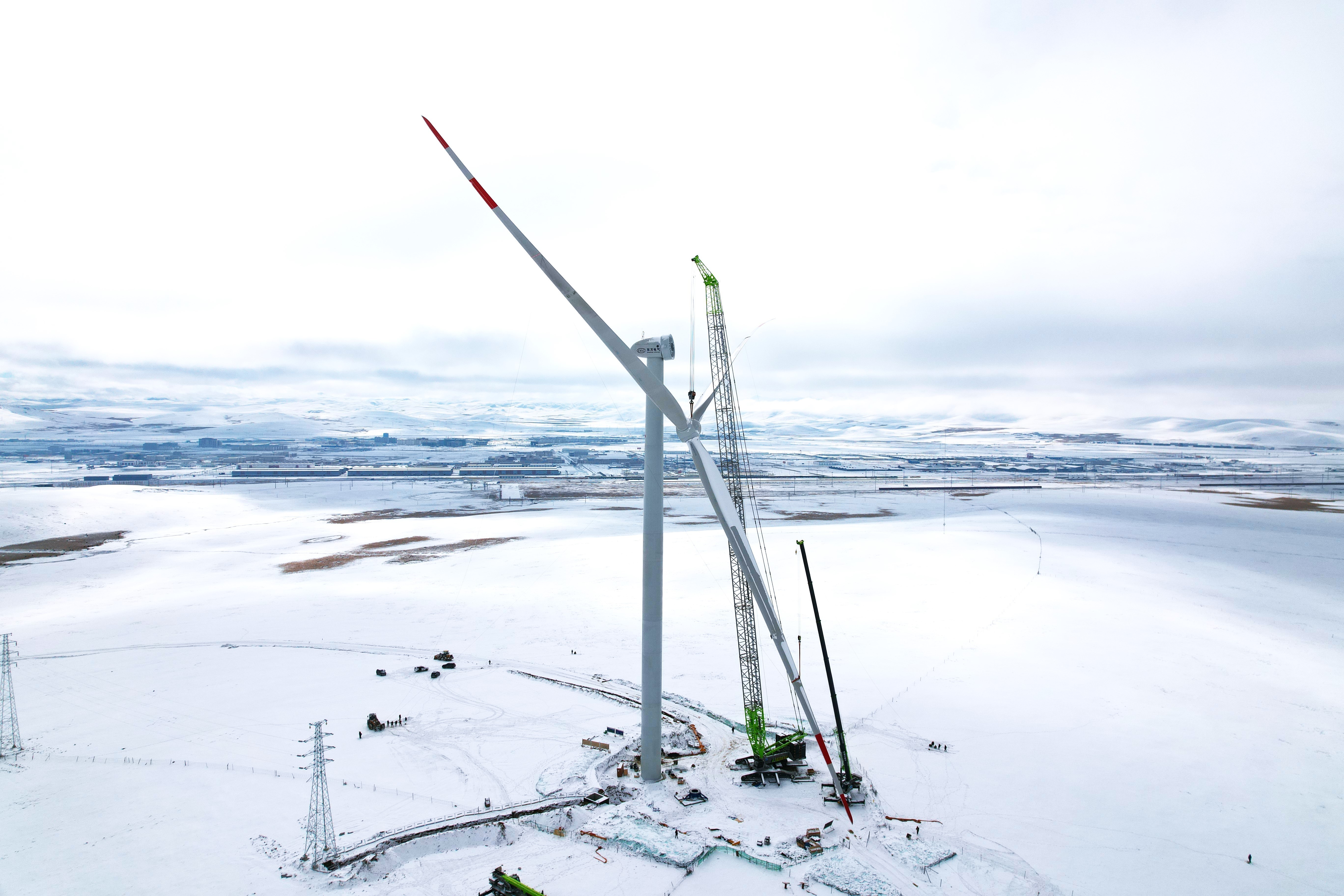 1704219428273550.jpg?x-oss-process=style/w10 533440c1b49197f25d0b07775172898.jpg?x-oss-process=style/w10