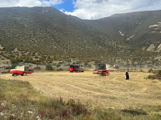 069f6b8c4b7cdcd855ee633230e3ea25